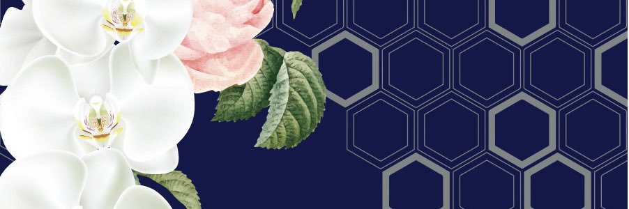 PhamJosephine's profile banner image