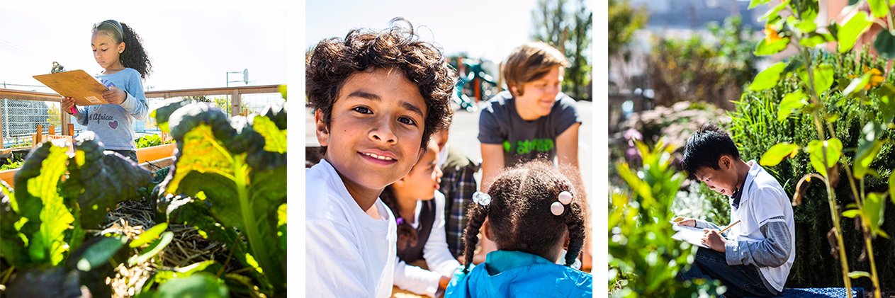 Education Outside 🎓🌱 banner