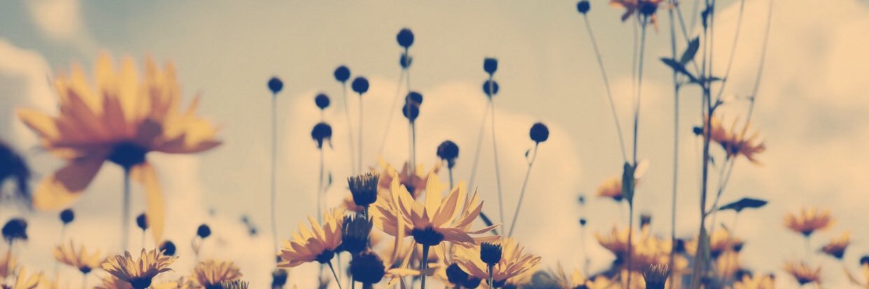 skippy_bee's profile banner image