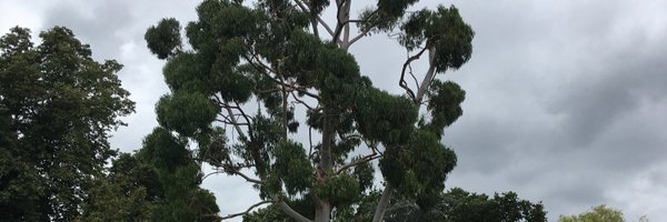 RichBatesMusic Profile Banner