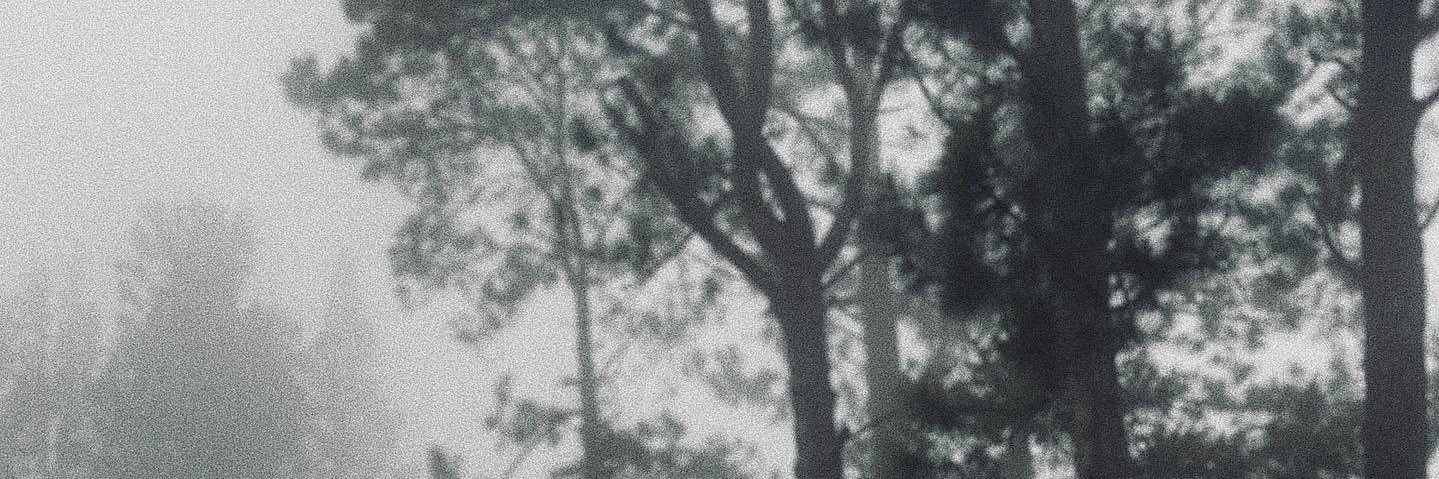 lucashrfs's profile banner image