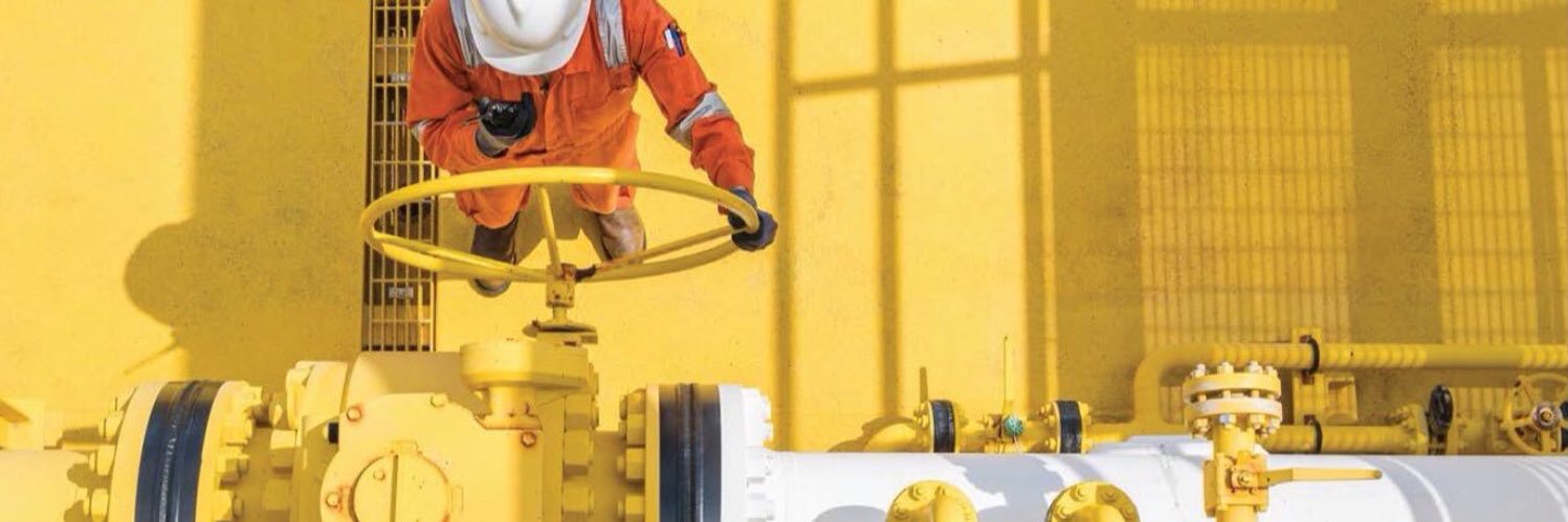 Rose Sébastien banner