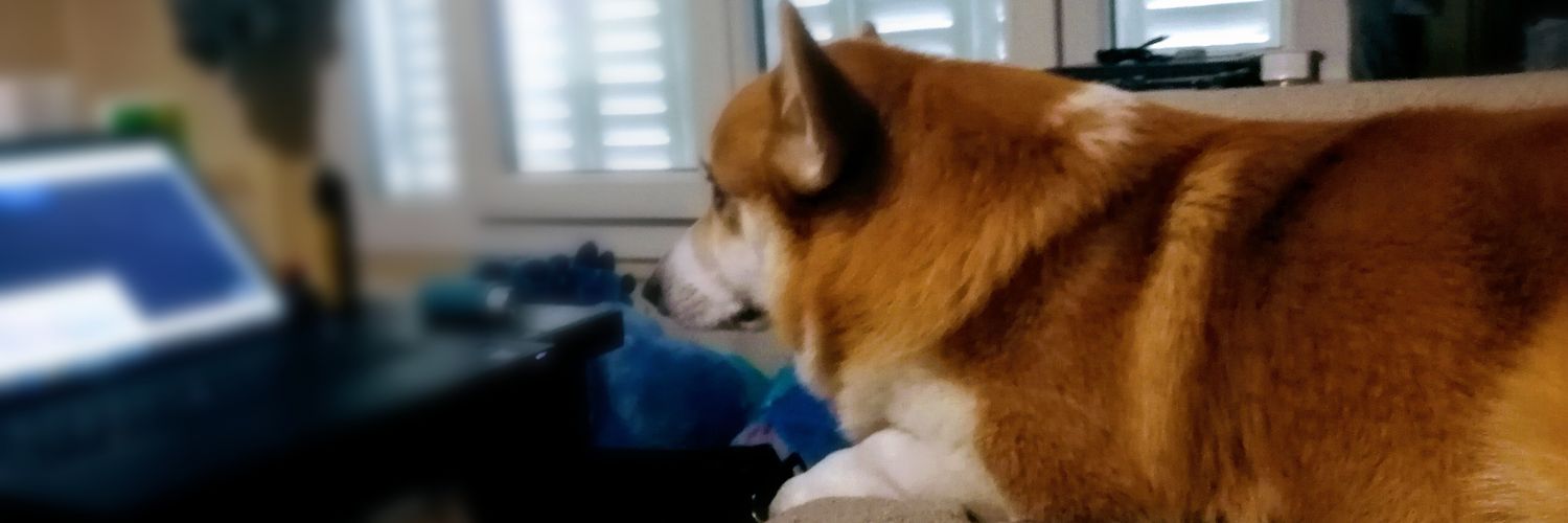 Benjamin_Le_Lay's profile banner image