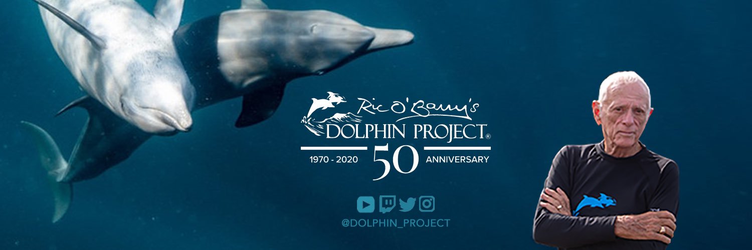Dolphin Project's banner