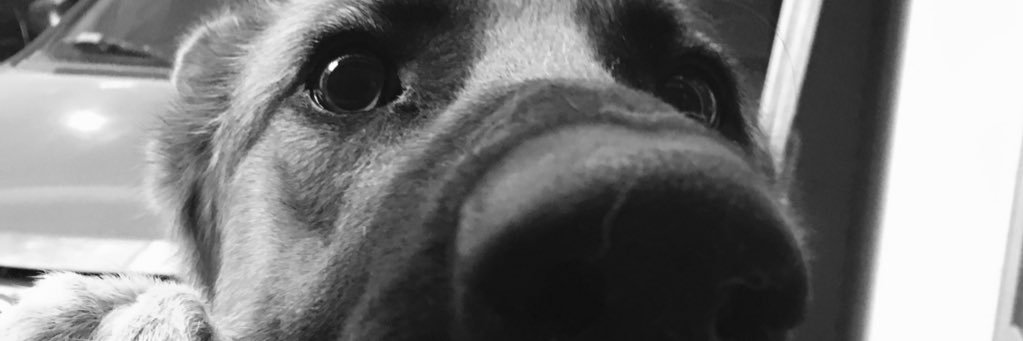 MolinaMatii's profile banner image