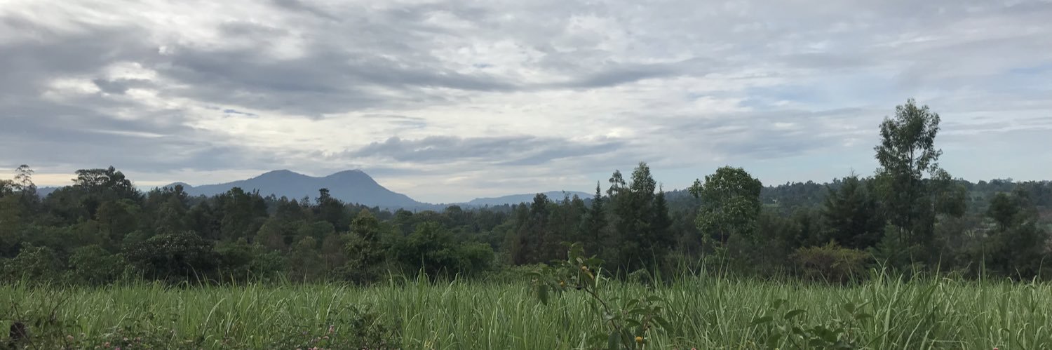 allyrosee_'s profile banner image