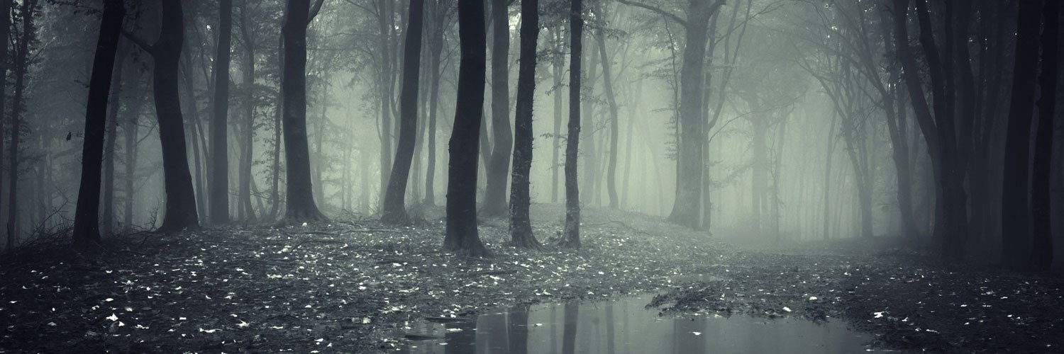 Lacuna_1024's profile banner image
