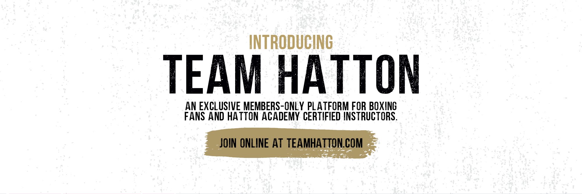 Hatton Boxing banner
