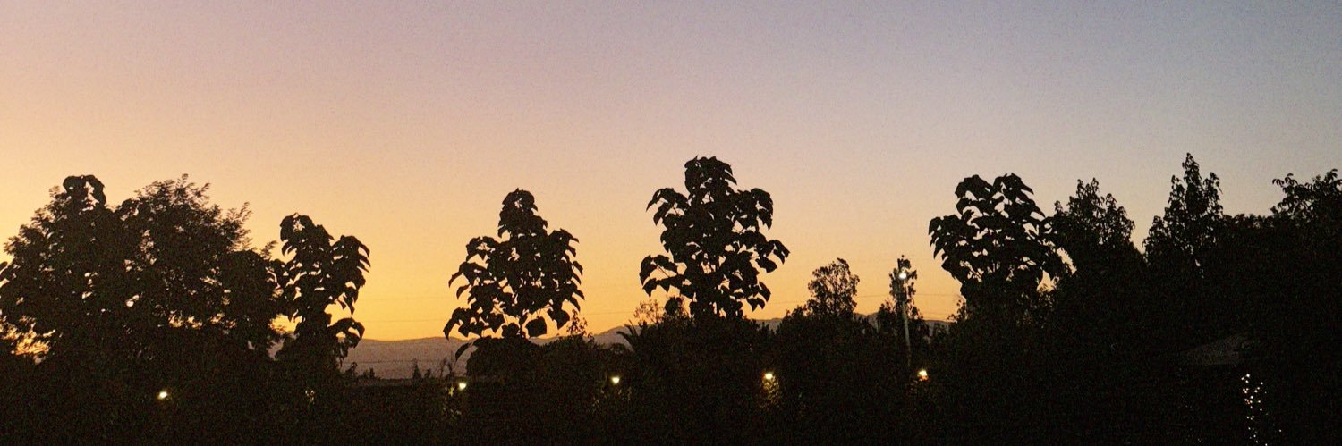 constanzacrema's profile banner image