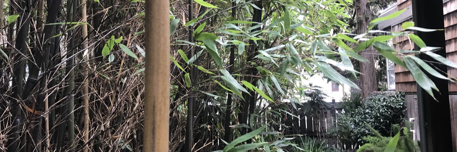 James Wogan LCSW banner