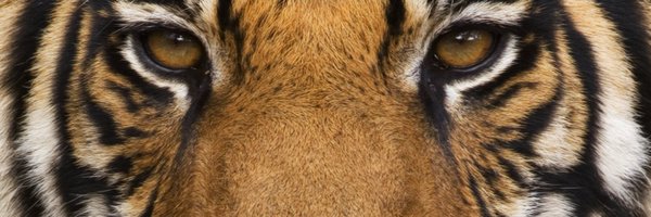 _JairoMoreno's profile banner image