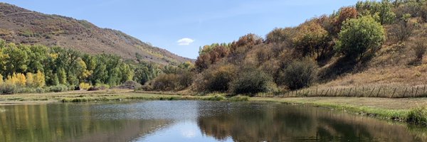 KottenState Profile Banner