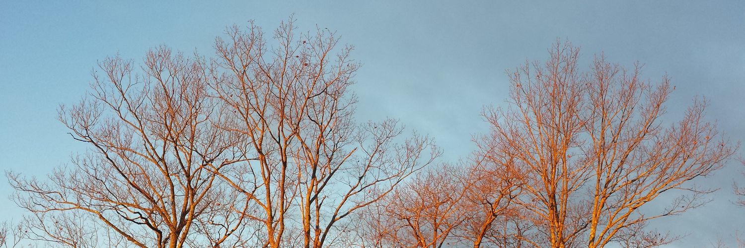 mackeydan's profile banner image