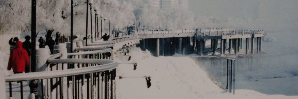 Snow One Knows banner