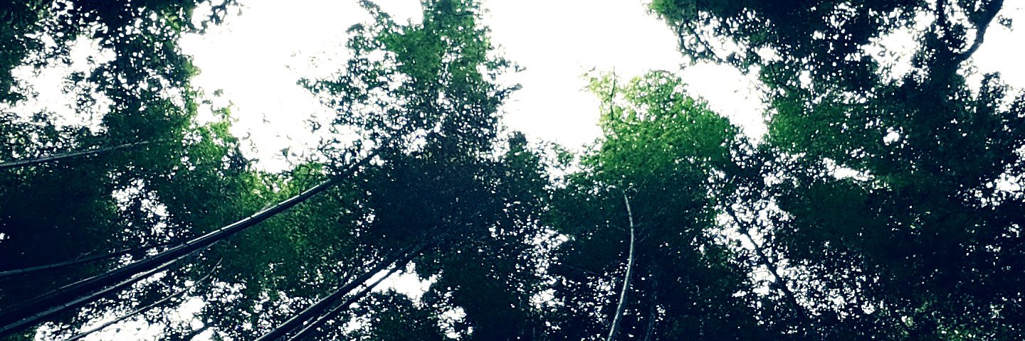 charestria's profile banner image