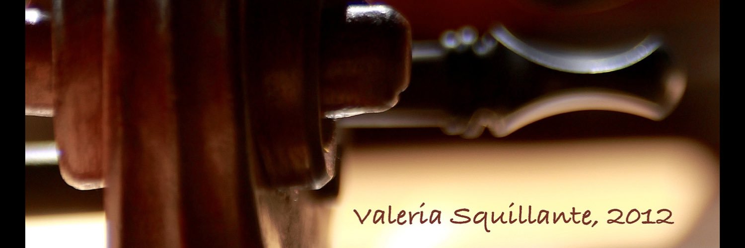 vasquil's profile banner image