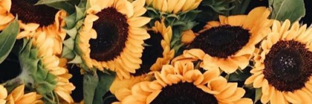 JenMFrye's profile banner image