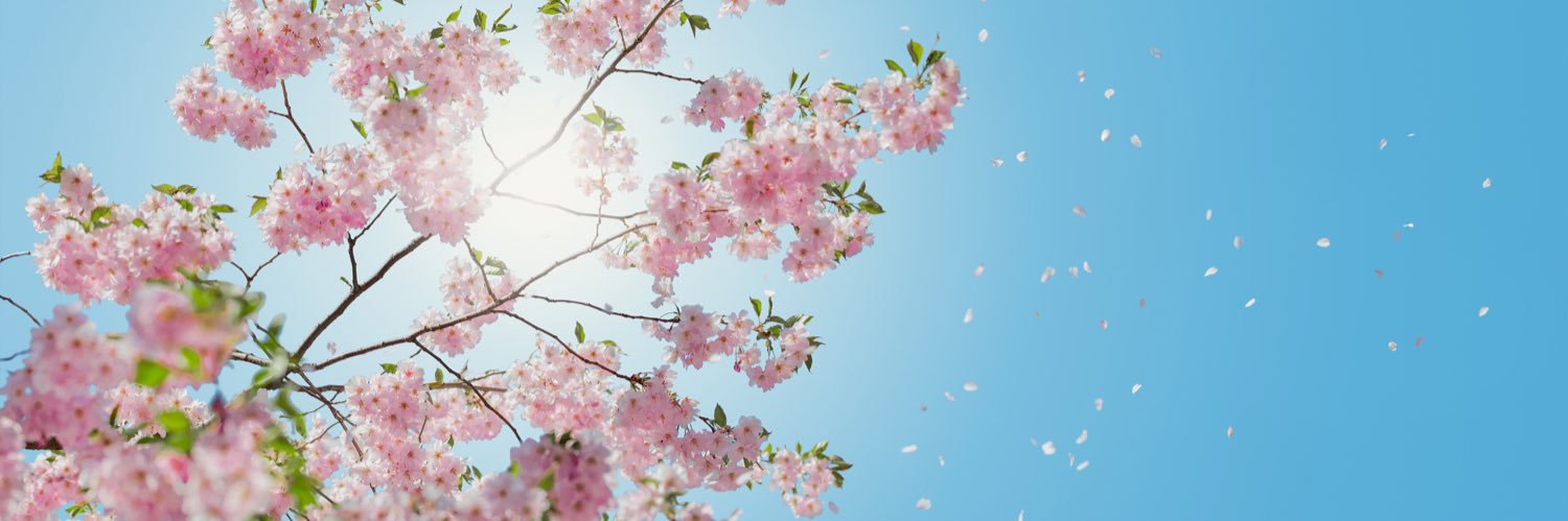 noona_m90's profile banner image