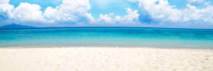 AdelineC81's profile banner image