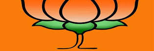 pepondevi's profile banner image