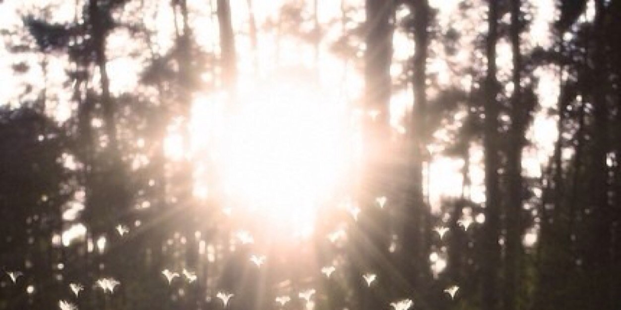 Gilliancarol's profile banner image