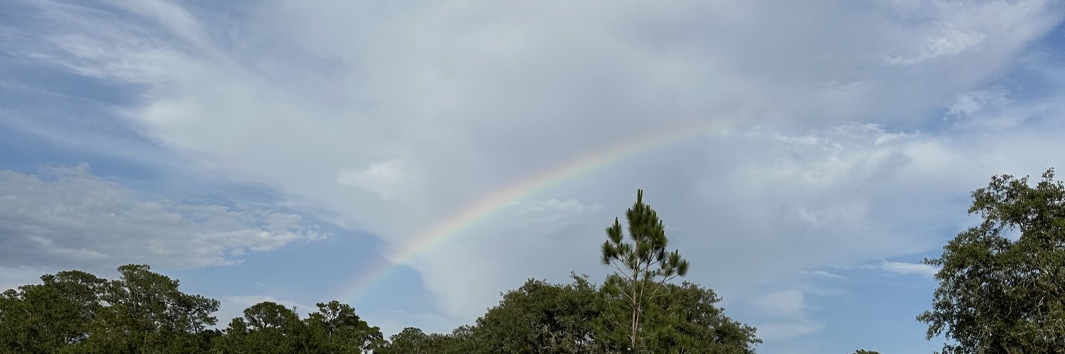 lylaadavis's profile banner image