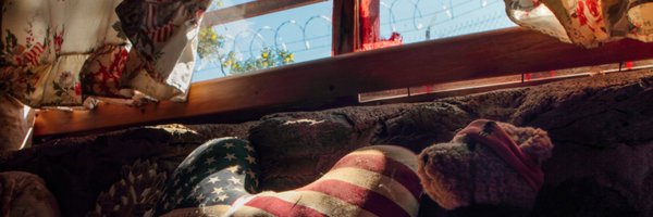 billndotnet Profile Banner