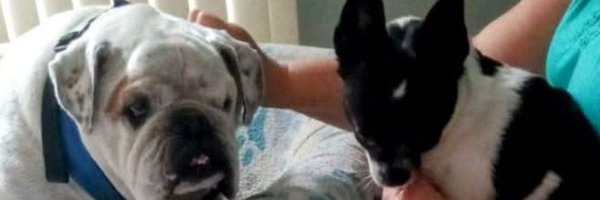 Anniew99 Profile Banner