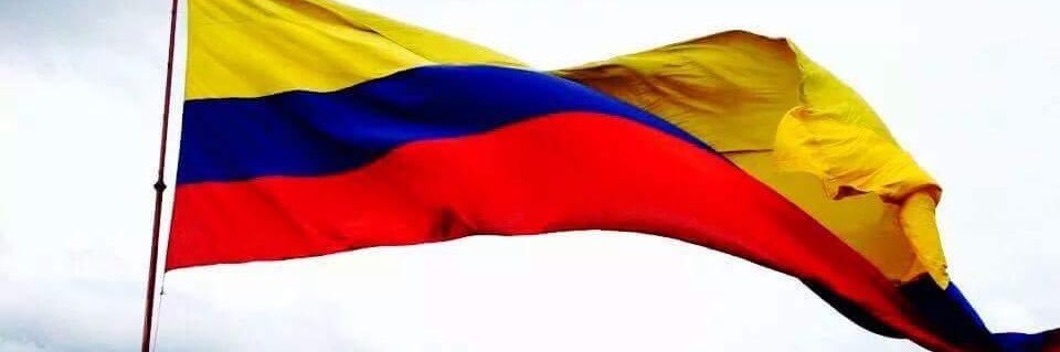 diani_castro's profile banner image