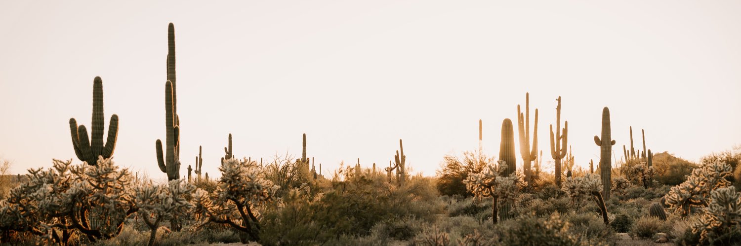 tayserrano's profile banner image