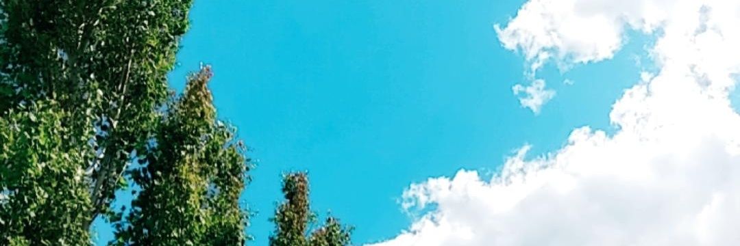 taylorhalv's profile banner image