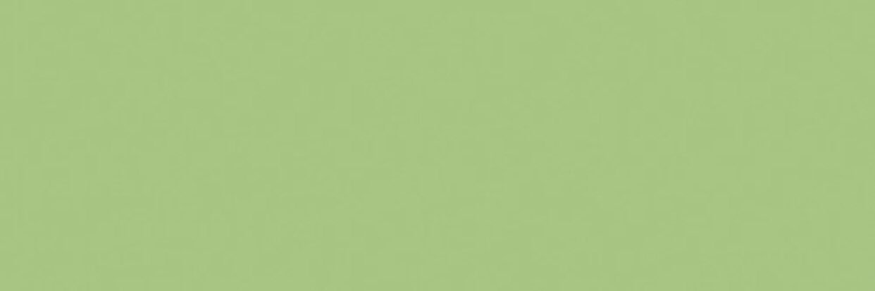 murphelia's profile banner image