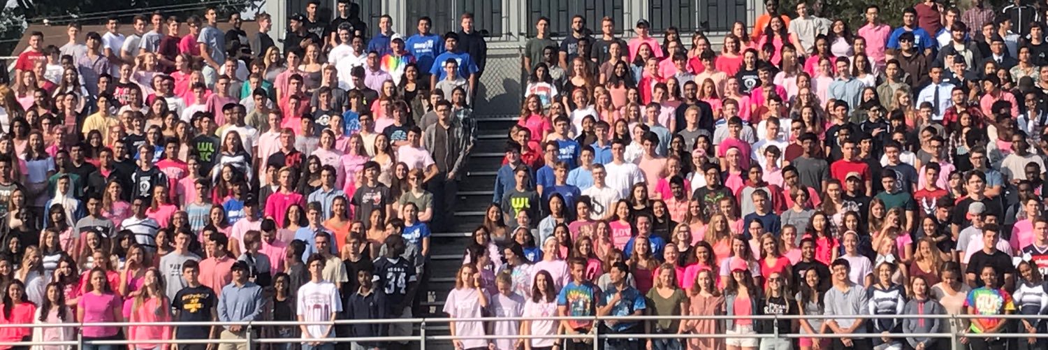 WL SENIORS 2017 banner