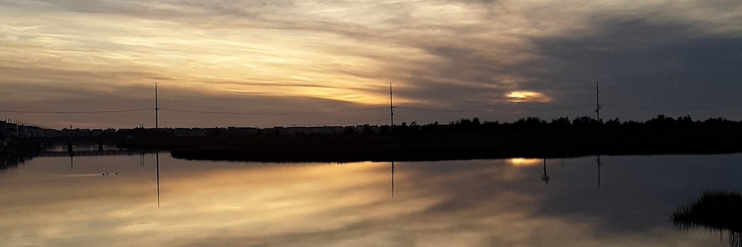 sewellrat's profile banner image