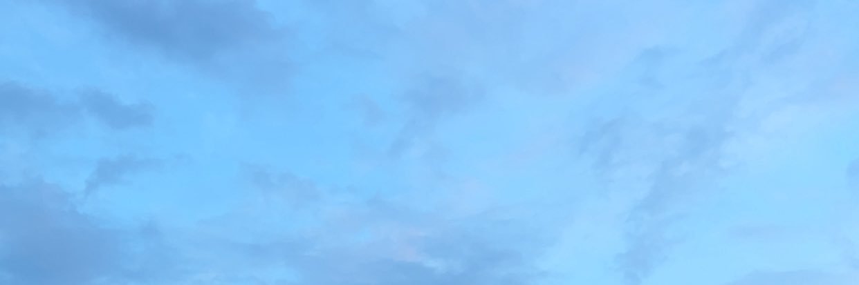 MAX / banner
