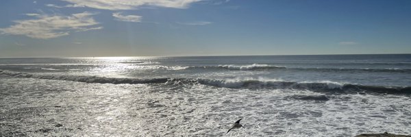 JayPosnerSD Profile Banner