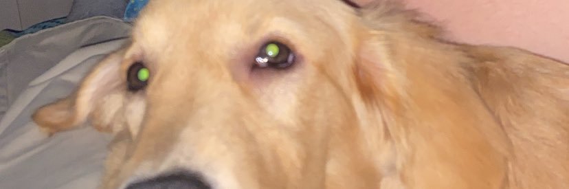faaabreezy's profile banner image