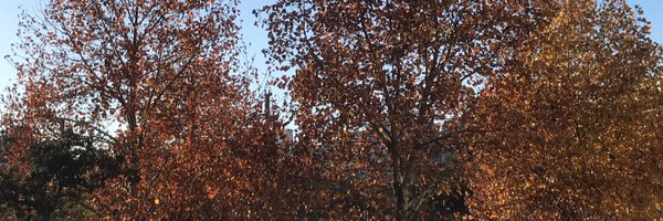 InPaz26 Profile Banner