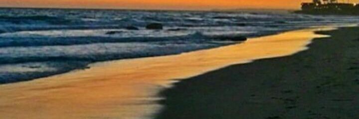 marrivero_'s profile banner image