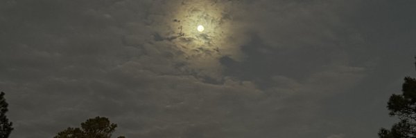 Gidi_Traffic Profile Banner