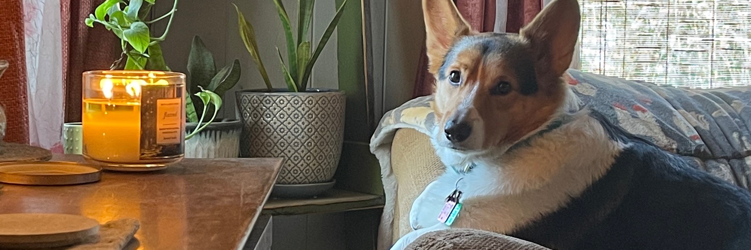 peyup4's profile banner image