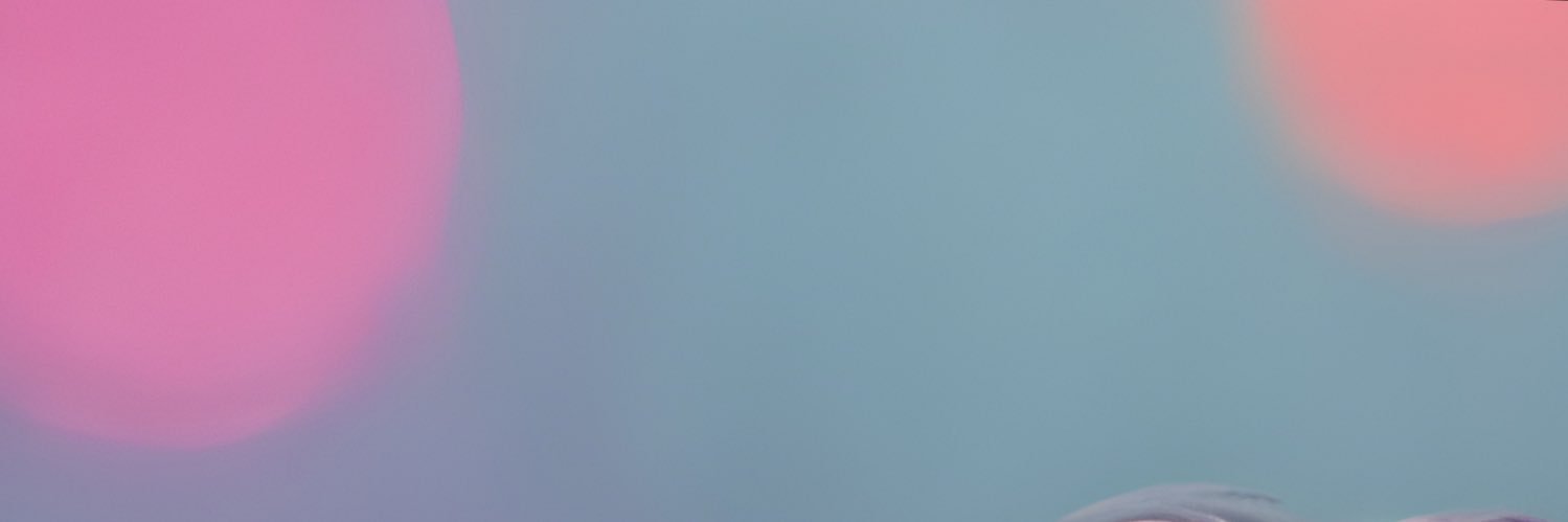 George Ogle banner