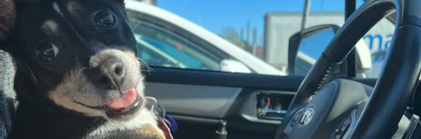 Badger_Tassin's profile banner image