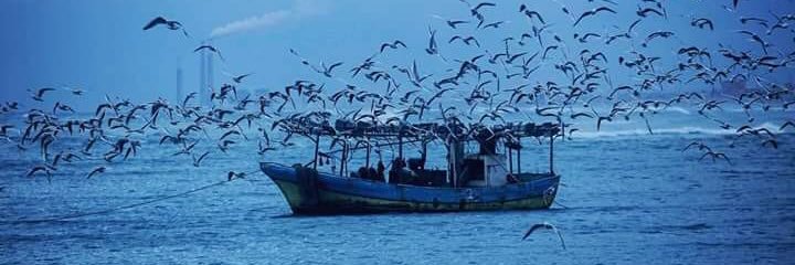 oebrahim977's profile banner image