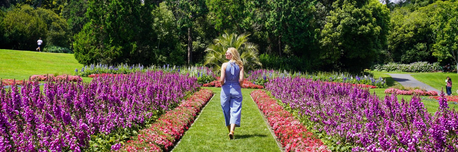 Jenevieve Nelson banner