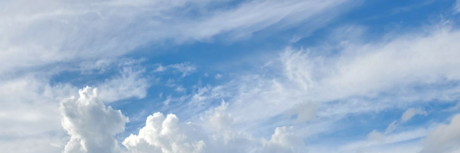 veronica_meows's profile banner image