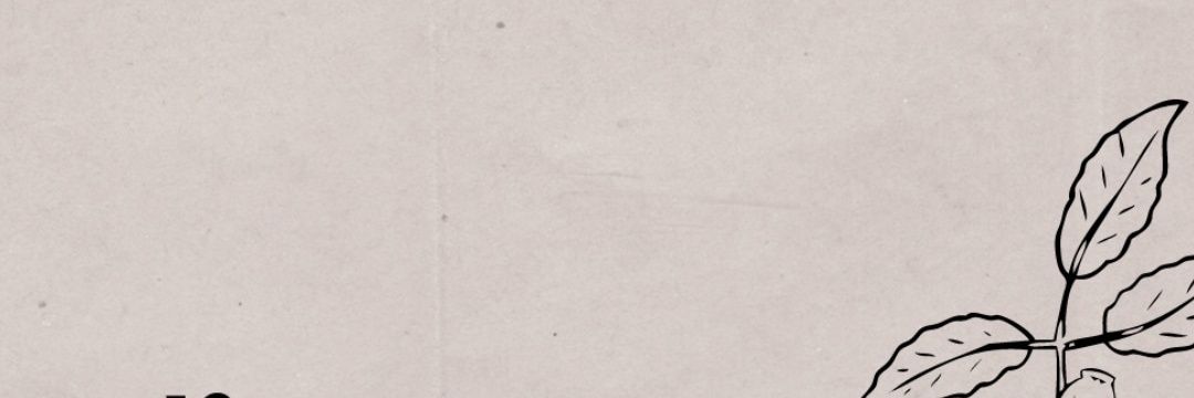 PuspitaRu's profile banner image