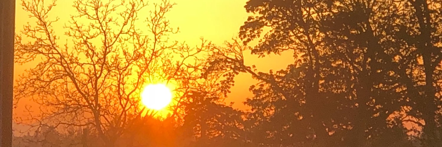 D3Demes's profile banner image