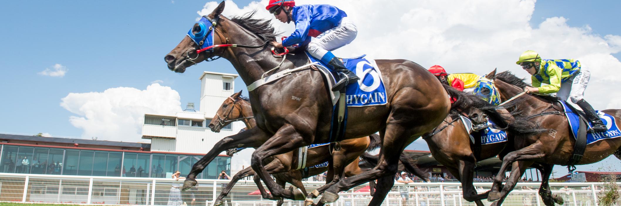 Moe Racing Club banner