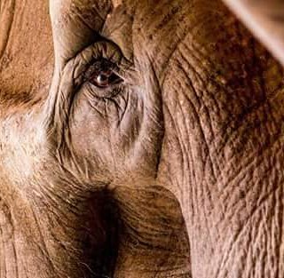 LeoArrua's profile banner image